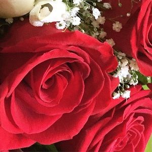 Meet your Posher, Connie